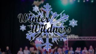 Cheerleading: Winter Wildness 2019 - Cheerleading: Winter Wildness 2019 1.12.