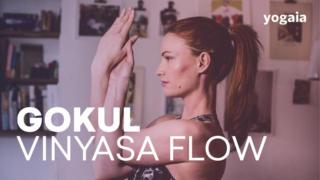 Vinyasa Flow - Workout jooga