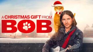 Bobin joulu: Kissa joka toi joulumielen