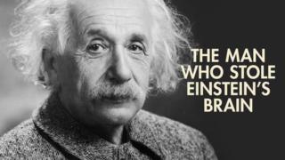 Einsteinin aivot