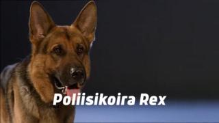 Poliisikoira Rex (16) - Äänetön huuto