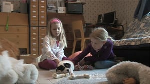 Kolme pientä koiranpentua