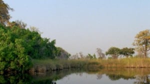 Afrikan luonnon helmiä