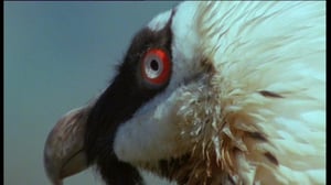 Afrikan luonnon helmiä