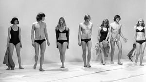 Muotiregatta, katsaus kesän 1972 muotiin