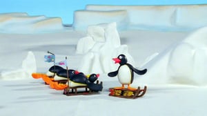 Pingu