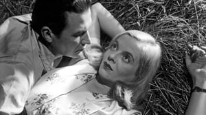 Kino Tulio: Levoton veri