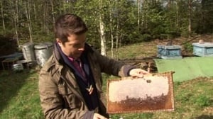 Luonto lähellä: Luonto lähellä 28.5.