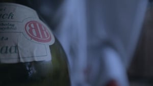 Aarne Alligaattorin musiikkiseikkailu