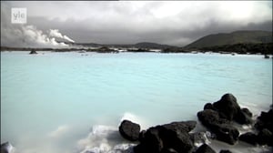 Ihmisen vaikutus planeettaamme