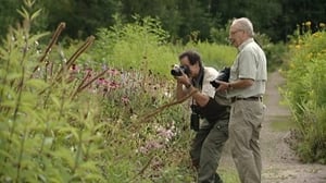 Luonto lähellä: Luonto lähellä 20.8.