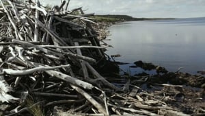 Muisti: Hukutethin kyliäkin