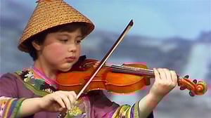 Viuluviikarit musiikkimaassa