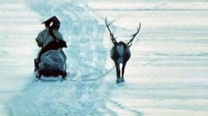 Kino Suomi: Skierri - vaivaiskoivujen maa