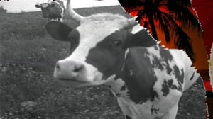 Arkistosta revittyä: Mansikit