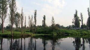 Ihmisen vaikutus planeettaamme