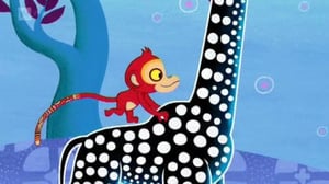 Tinga Tinga -tarinat