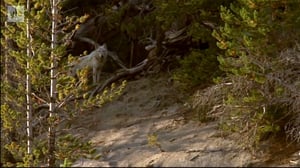 Ihmisen vaikutus planeettaamme