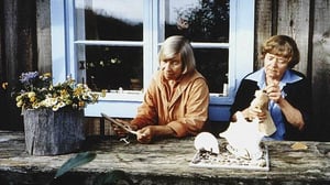 HARU - yksinäisten saari