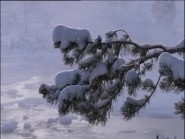 Läpileikkaus maapallosta