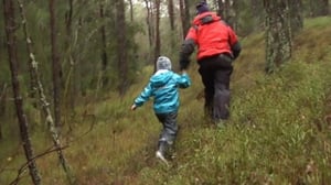 Norjaa ristiin rastiin