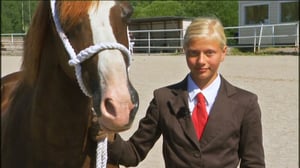 Ystäväni hevonen: Poninäyttely