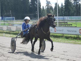 Ystäväni hevonen: Poniravit