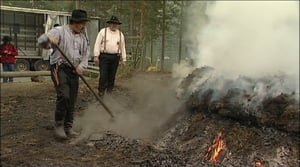 Luonto lähellä: Luonto lähellä 19.8.