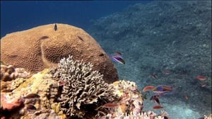 Läpileikkaus maapallosta