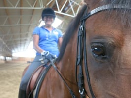 Ystäväni hevonen: Tanssia hevosen kanssa