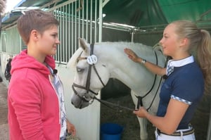 Ystäväni hevonen: Kisakuumetta