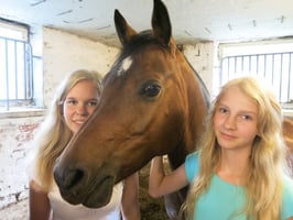 Ystäväni hevonen: Monta parasta ystävää