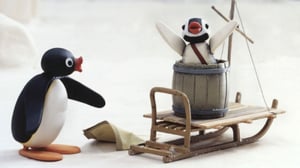Pingu