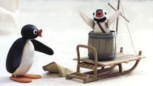 Pingu