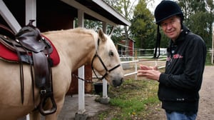 Toisenlaiset frendit