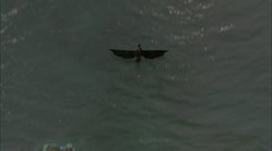 Lohikäärmeratsastajat