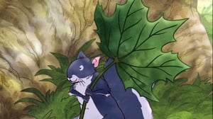 Arvaa kuinka paljon sinua rakastan