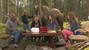 Kysymyksiä luonnosta