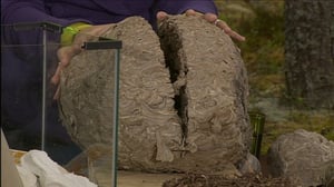 Kysymyksiä luonnosta