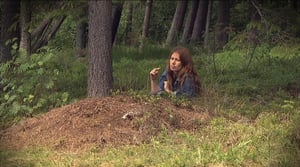 Kysymyksiä luonnosta