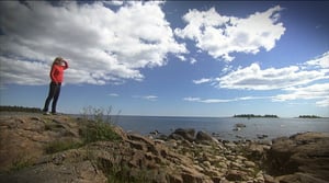 Kysymyksiä luonnosta