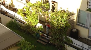 Norjaa ristiin rastiin