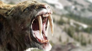 Prisma: Jääkauden jättiläiset