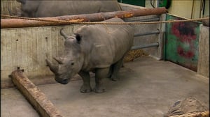 Elämäni eläimet: Eläinsairaalassa