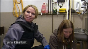 Elämäni eläimet: Eläinsairaalassa