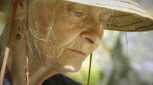 Kirjailijan muotokuva: Irmelin Sandman-Lilius