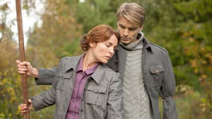 Tähtitaivas talon yllä