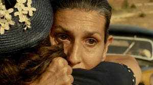 Ommelten välinen aika