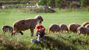 Ulkolinja: Luomuilluusio