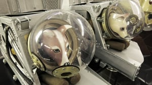 Historia: Kosmonautit